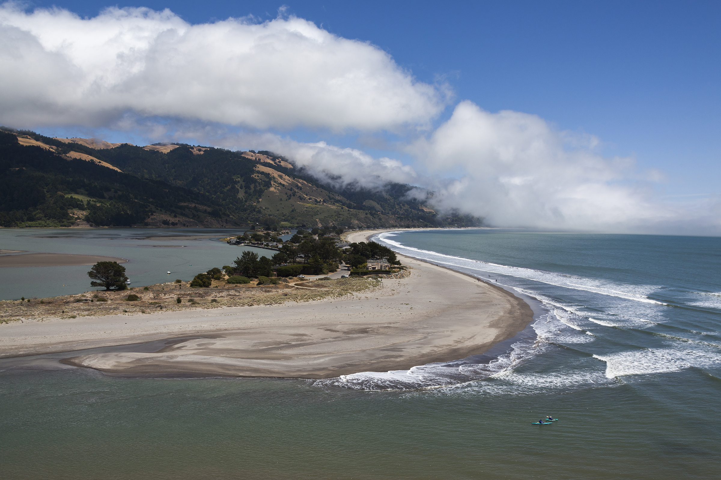 Marin